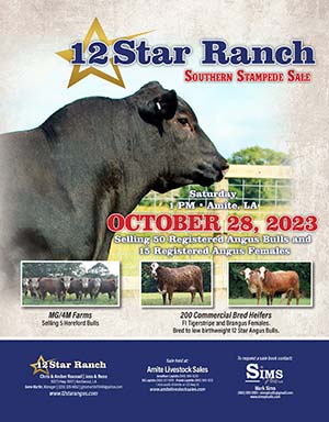 12 Star Ranch Bull and Female Sale ad