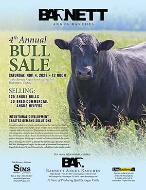 Barnett Angus Ranches Bull and Commercial Female Sale ad