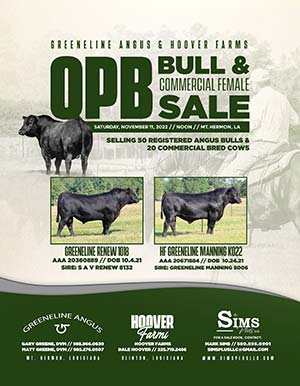 Greeneline Angus & Hoover Farms Bull and Female Sale ad
