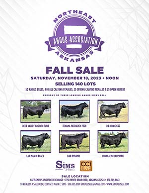 Northeast Arkansas Angus Association Fall Sale ad