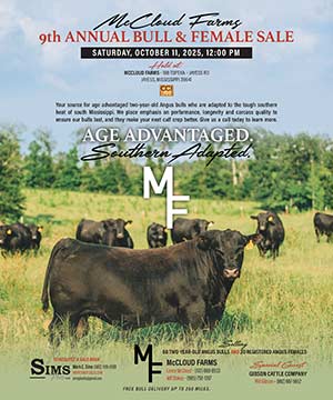 McCloud Farms Bull & Female Sale Ad