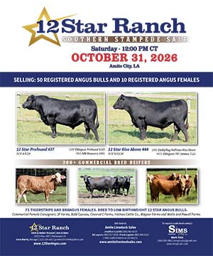 12 Star Ranch Bull Sale ad
