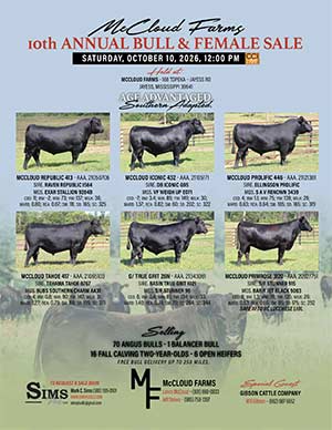 McCloud Farms Production Sale ad