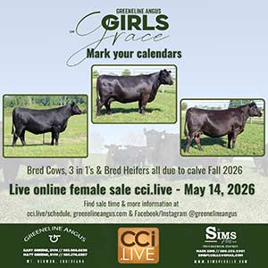 Greeneline Angus Female Sale Ad