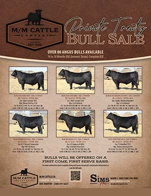 M/M Cattle Co. Private Treaty Ad